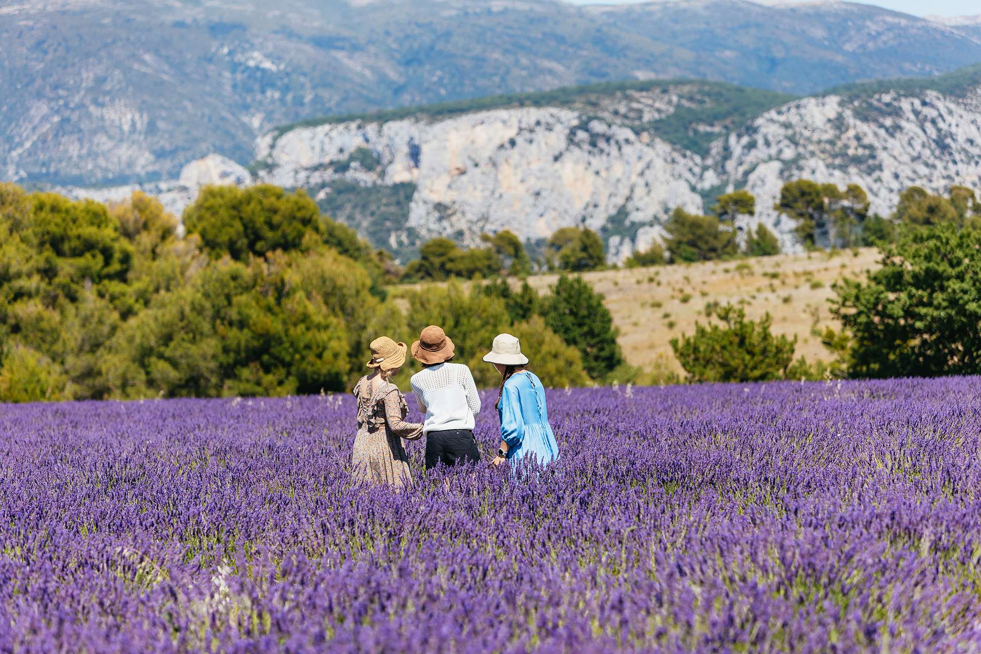 Gorges of Verdon and Fields of Lavender Tour from Nice