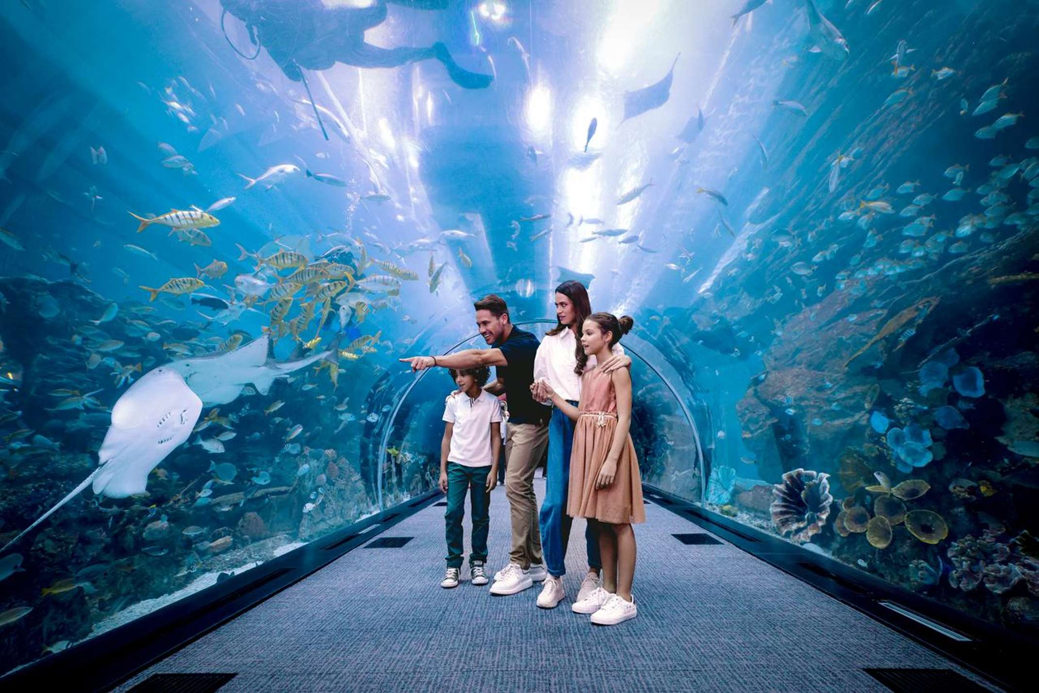 Dubai Aquarium and Underwater Zoo