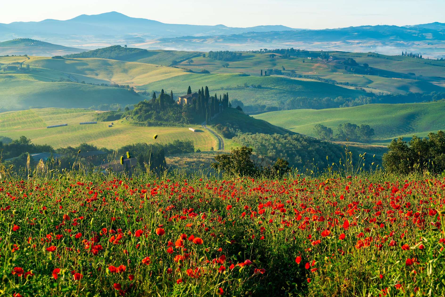 Tuscany & Montepulciano day trip with lunch and wines
