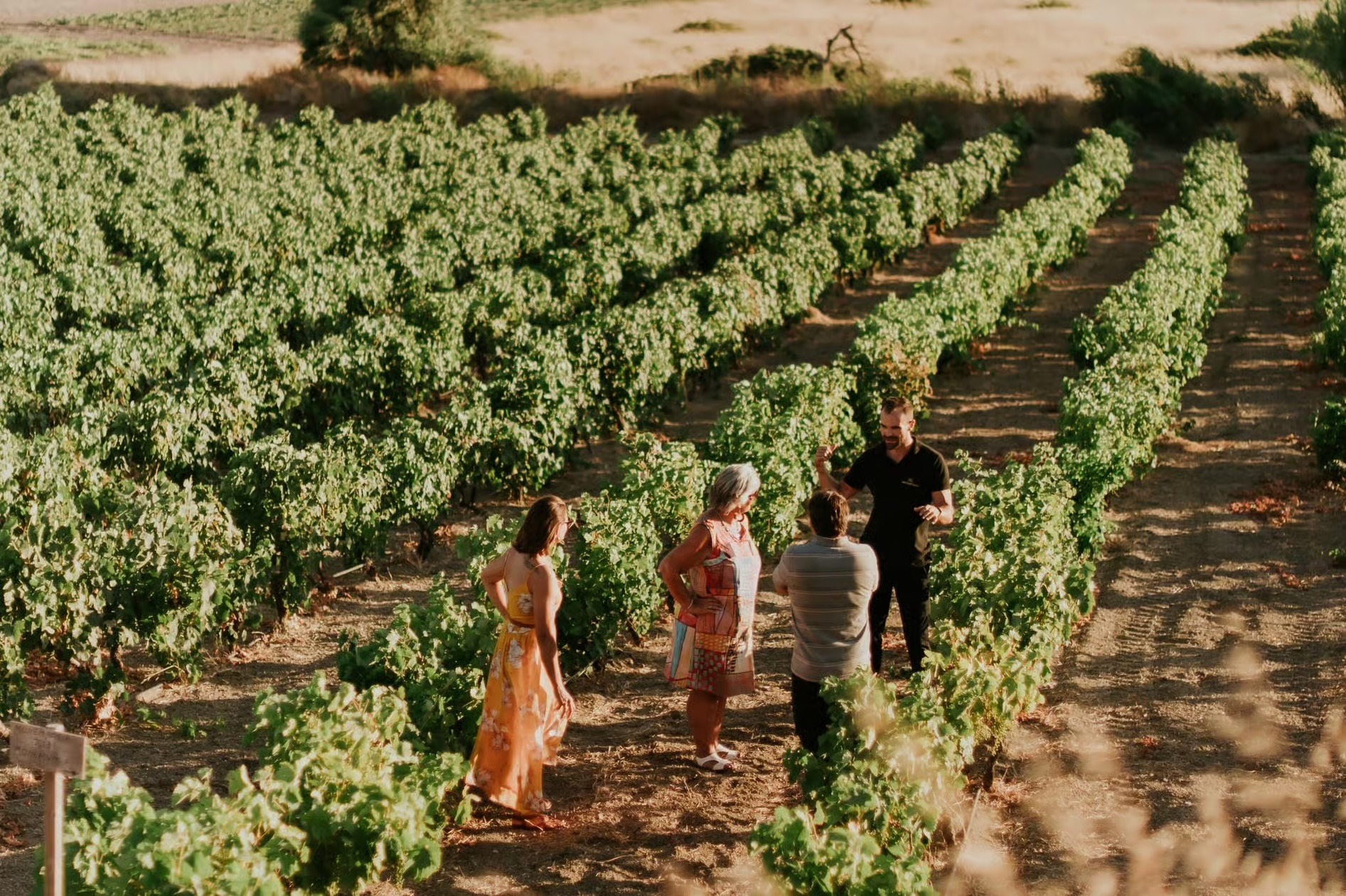 Kostantakis Winery Wine Tasting Experience Milos