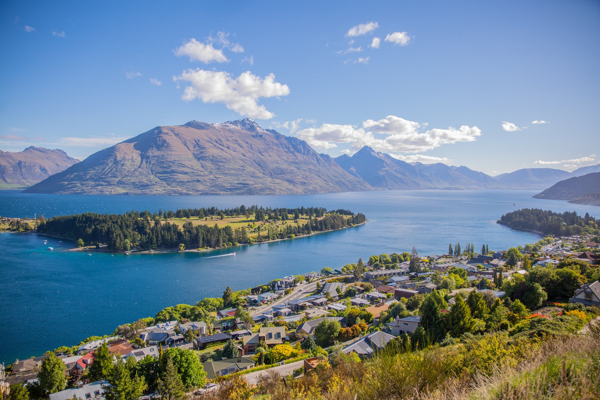 new zealand landscape