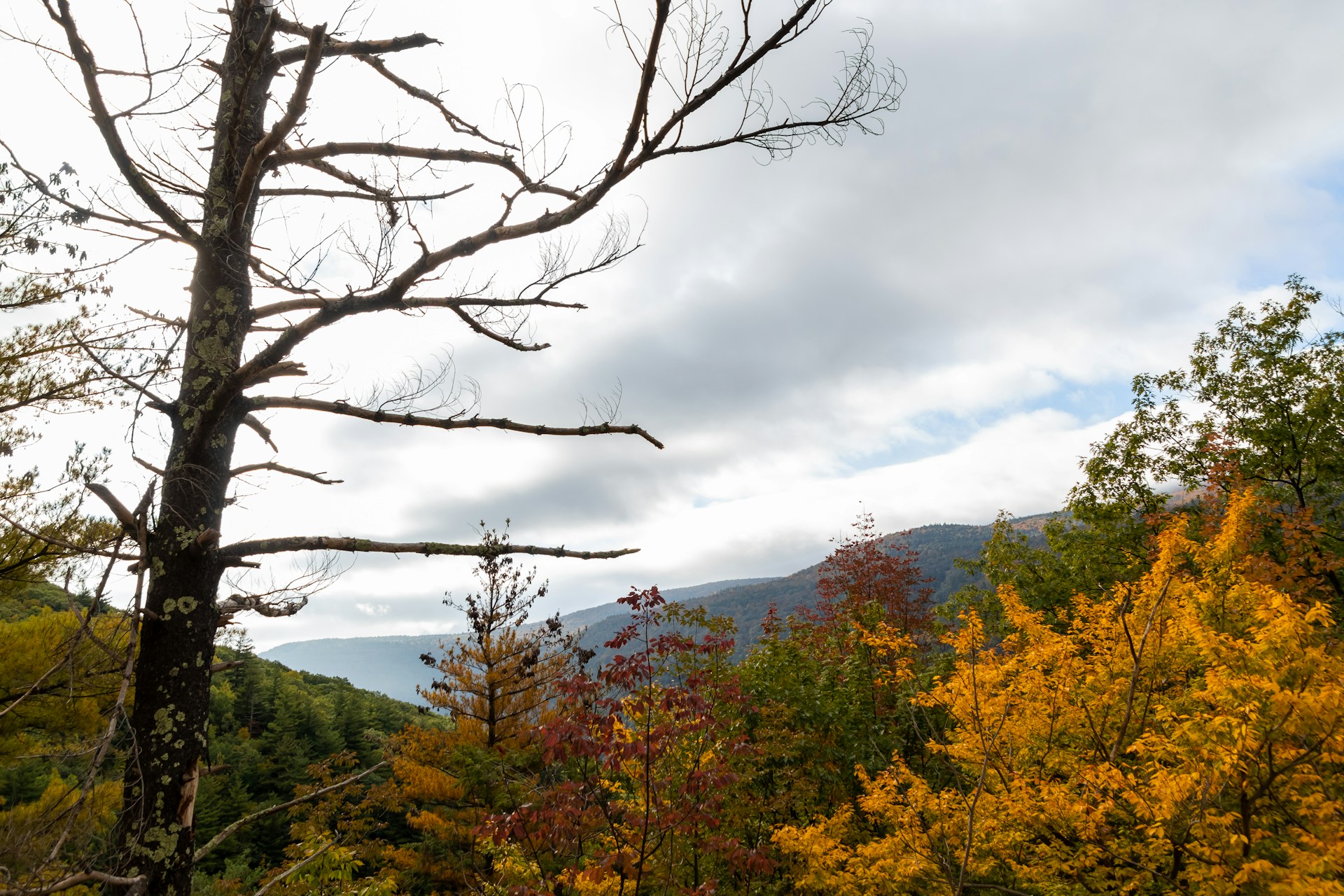 Catskills New York