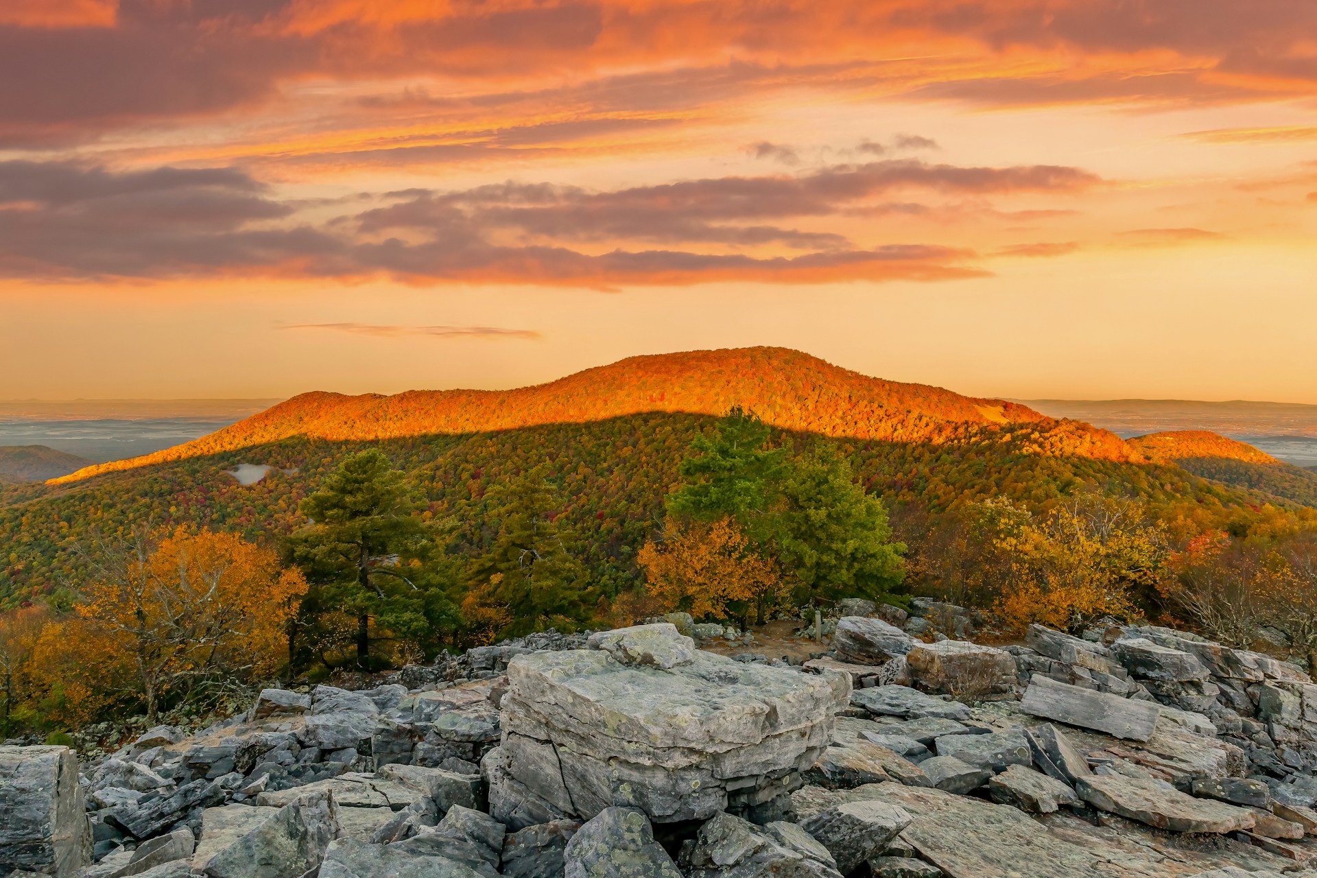 Shenandoah National Park